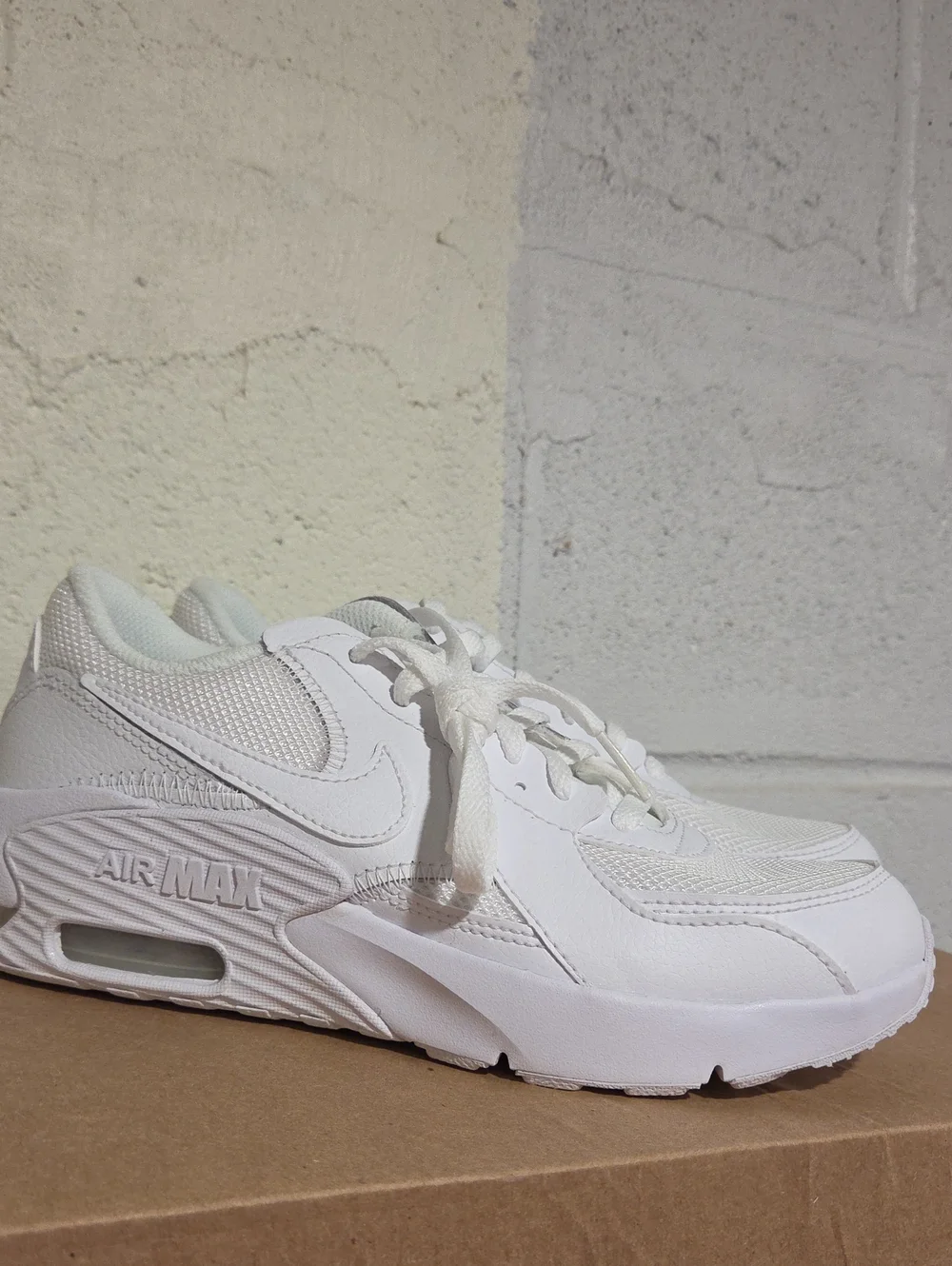 Nike White Air Max Low-Top Sneakers